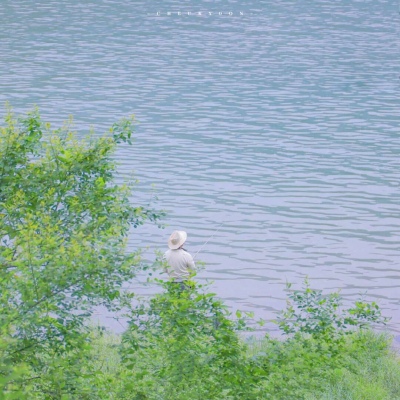 项城福瑞交流群